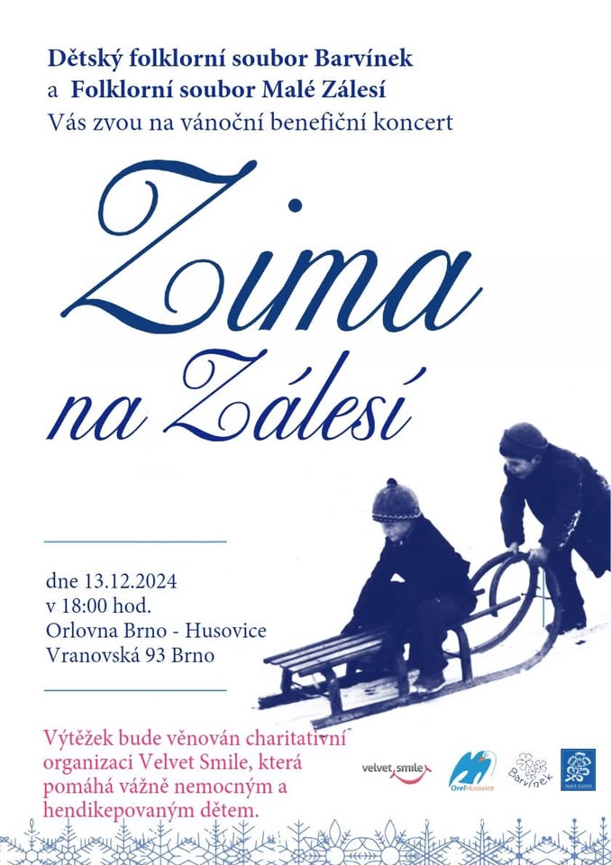 Zima na Zálesí/Vánoční koncert