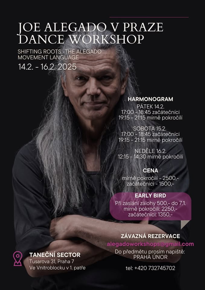 Joe Alegado v Praze_workshop