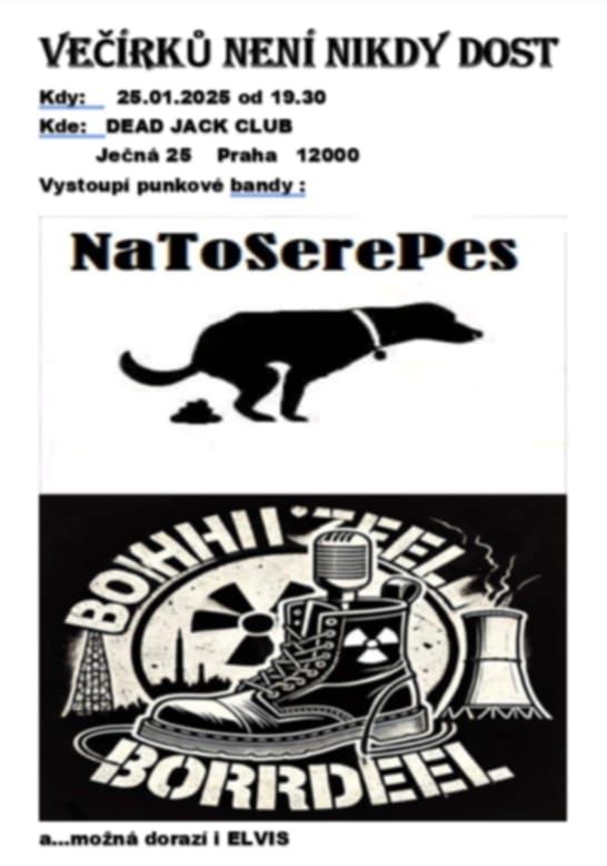 koncert punkových kapel