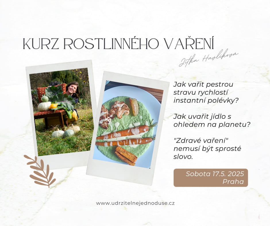 _-° Kurz Rostlinného vaření °-_