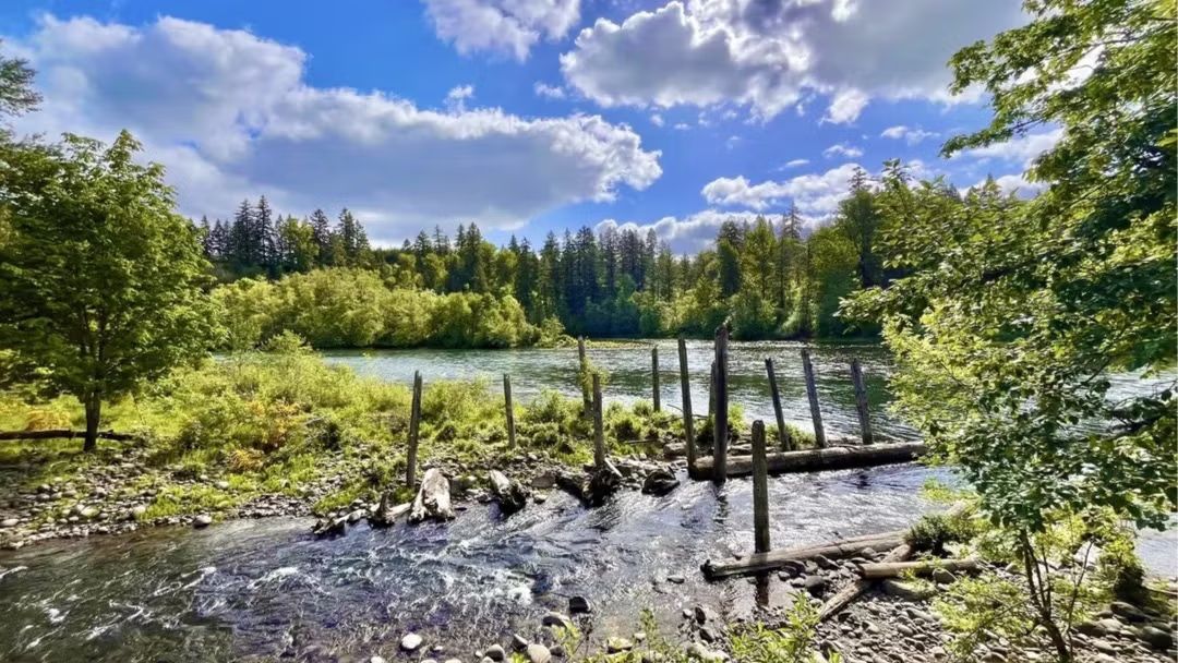 10/5/25 Sunday: 🌤️ hike.🎧Nia.😎hike @ Milo McIver State Park ~ Riverbend Trail