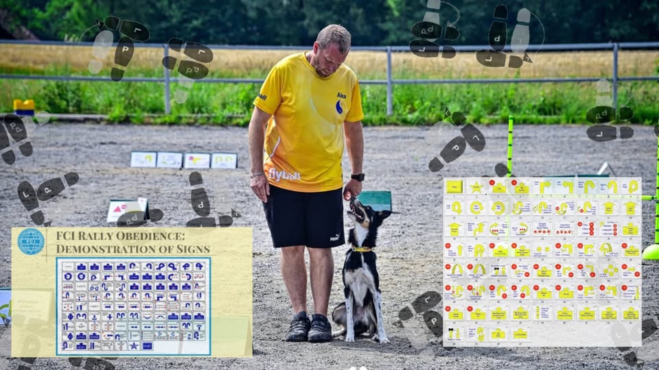 Intenzivní trénink S Márou