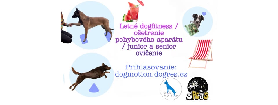 Letné utorky dogfitness / senior / junior cvičenie v priestoroch sPEjSu na Opavskej 24