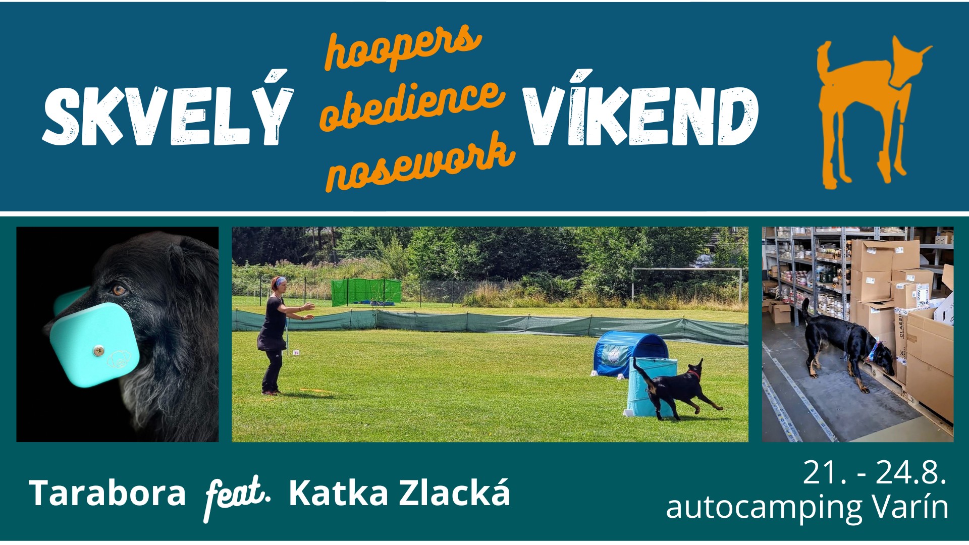 Skvelý (hoopers, obedience, nosework) víkend