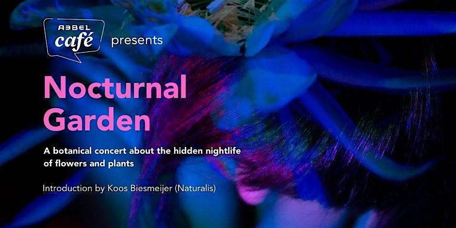 Rebel Café: Nocturnal Garden