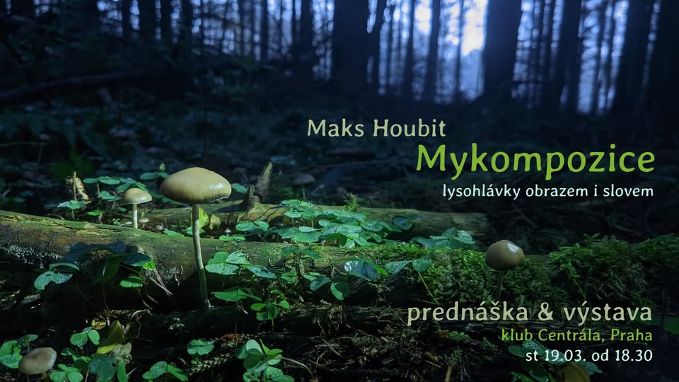 Maks Houbit: Mykompozice (vernisáž + přednáška)