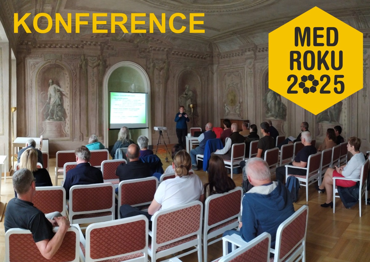 Honey of 2025 - Conference