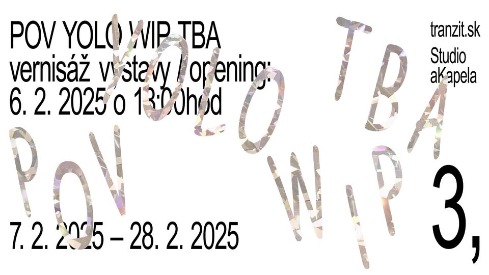 POV YOLO WIP TBA 3