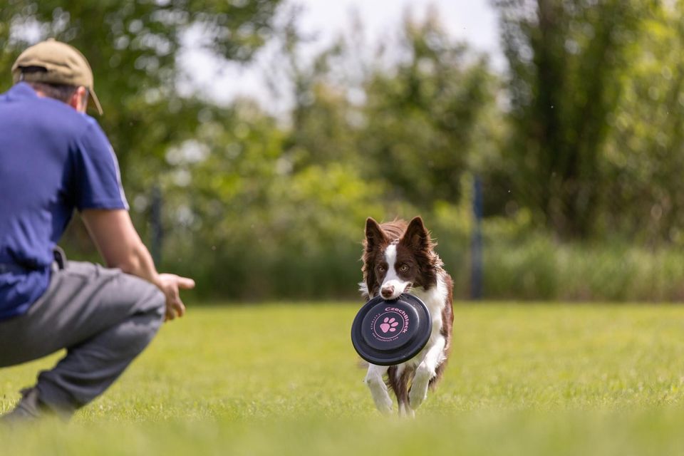 Dogfrisbee seminár V ŽILINE