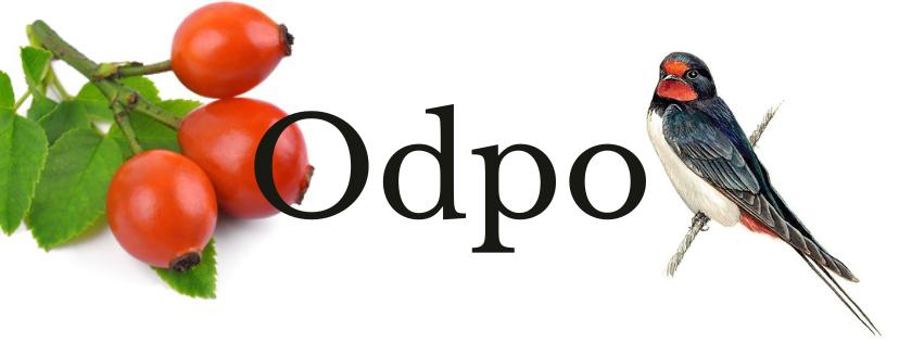 Odpolední setkání v Písečníku- šípek a vlaštovky