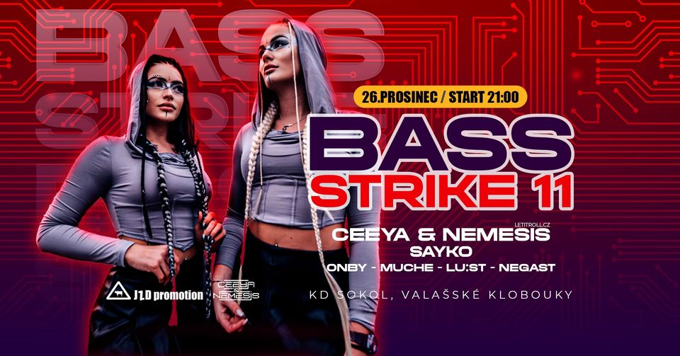 Štěpánský Bass Strike #11