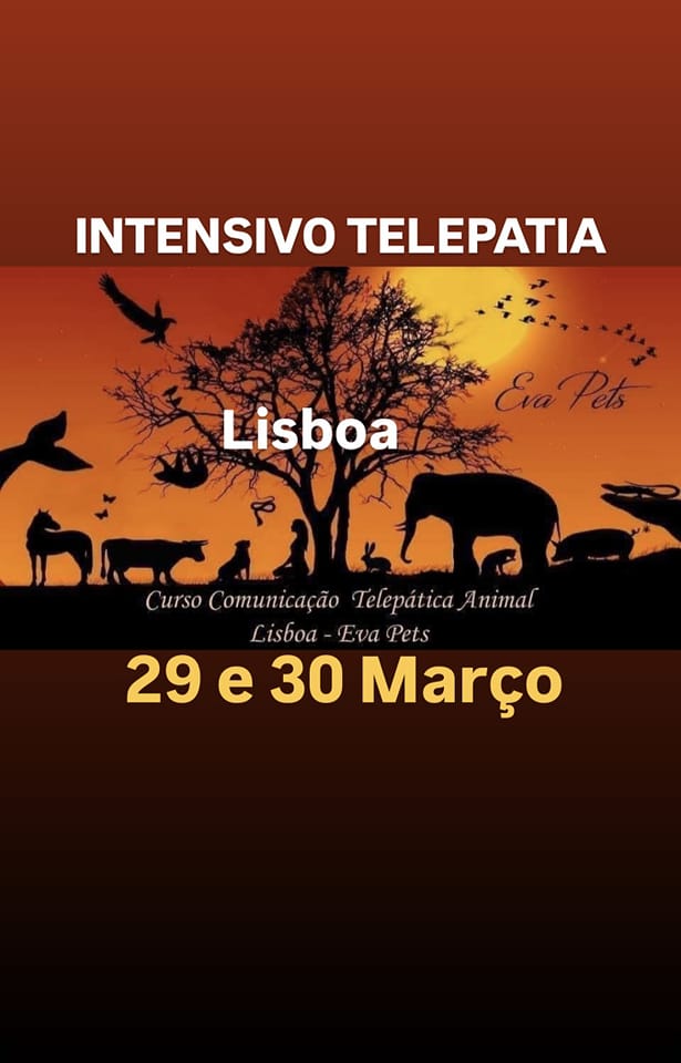 INTENSIVO Telepatia Animal LISBOA