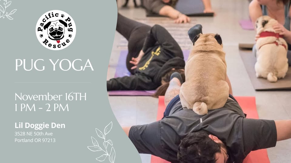 Pug Yoga