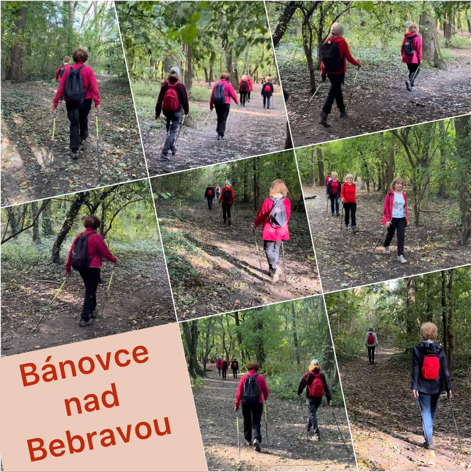 Nordic Walking KURZ