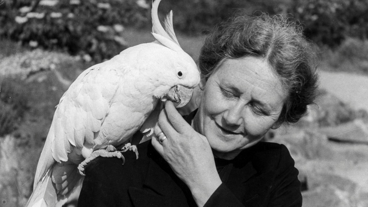 Vortrag: „Durch Urwalddunkel und Tropensonne – Katharina Heinroths Safari nach Zentralafrika“