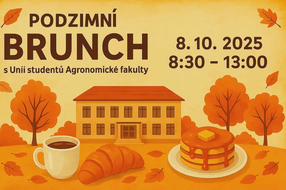 Autumn Brunch with USAF ☕