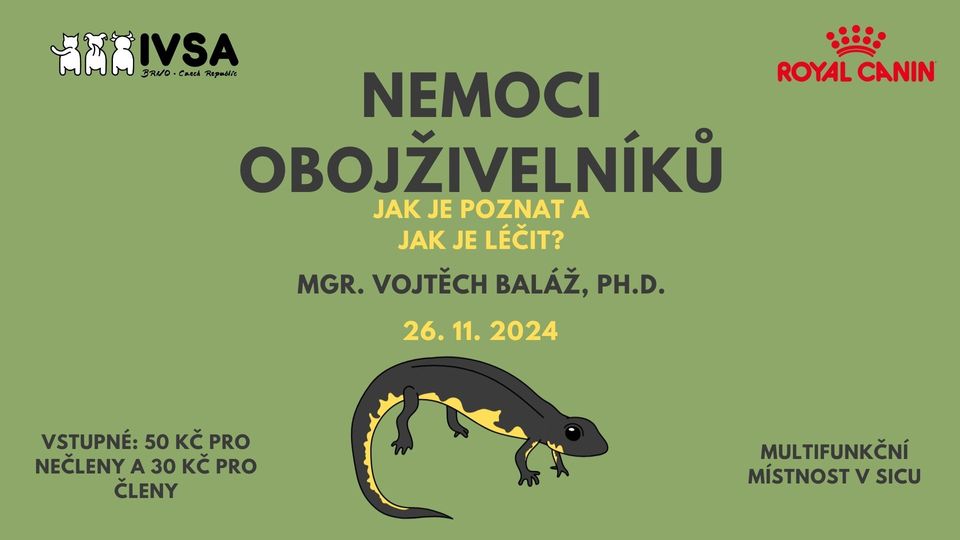 Nemoci obojživelníků, jak je poznat a jak je léčit?