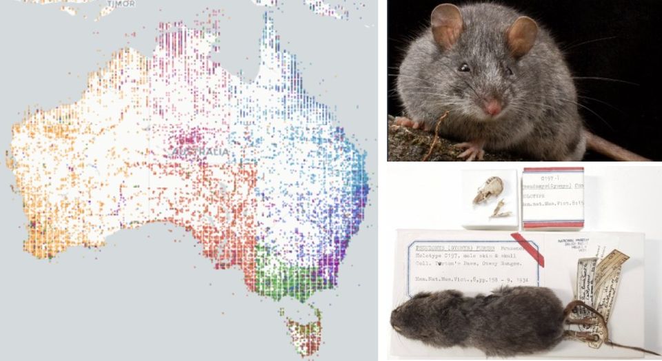 The value of natural history collections to contemporary discovery and innovation