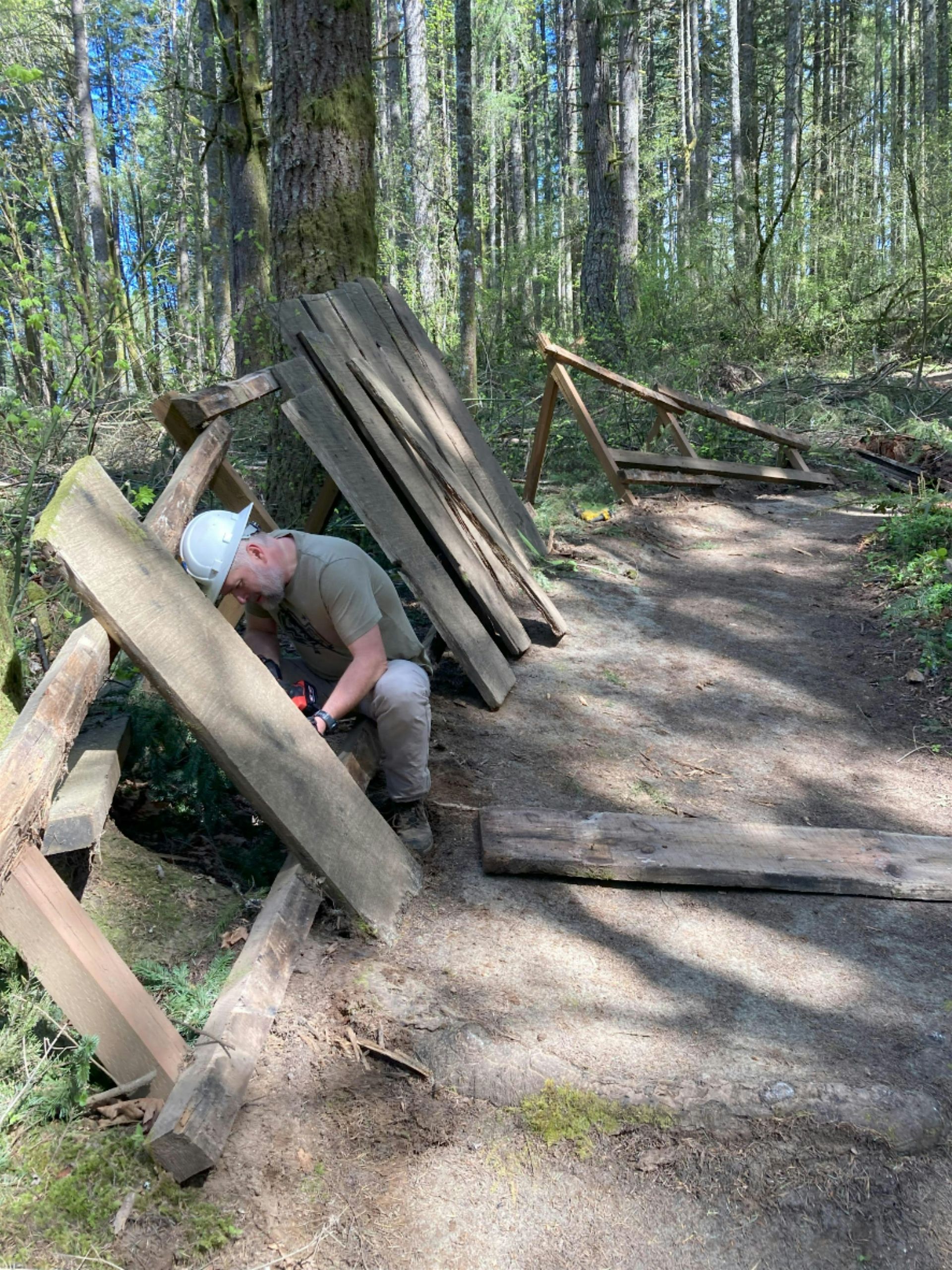 Stub Trail Restoration Day: 11/16