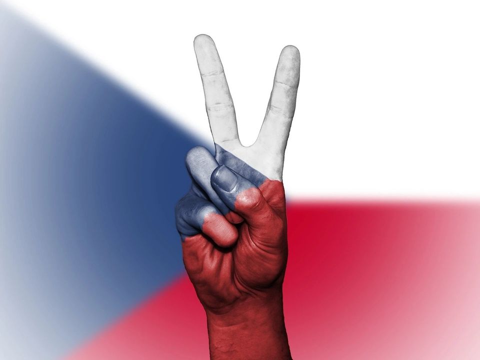 ❤️💙🤍Sametový výběh 17.listopadu 2024 🤍💙❤️ (POKROČILÍ) - Kraví hora, Wilsonův les (Brno - střed)