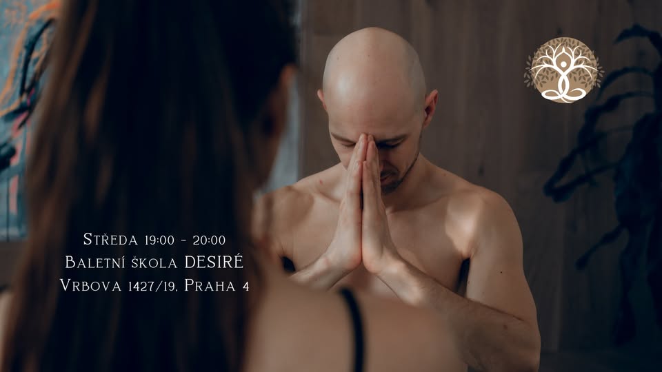 Hatha jóga