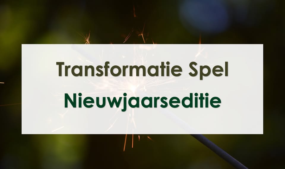 Transformatie Spel - Nieuwjaarseditie 🇳🇱