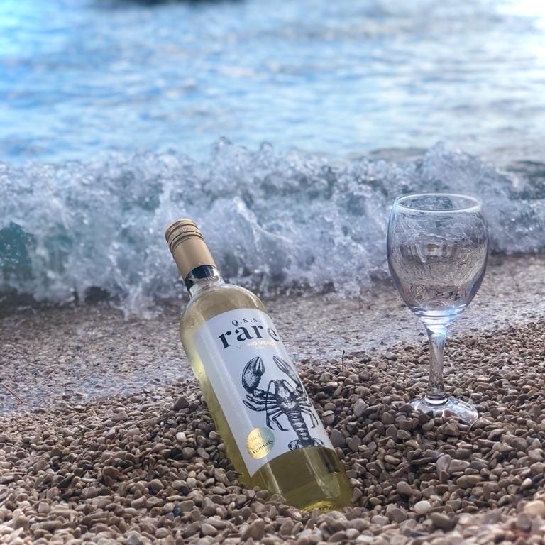 Degustace portugalskych vin