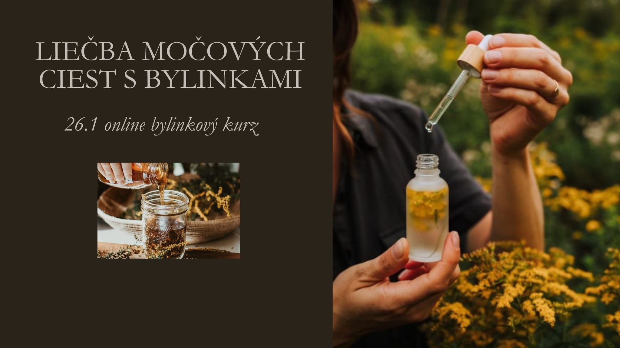 Liečba močových ciest s bylinkami