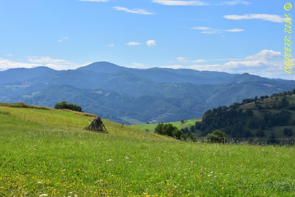 Beskid Sądecki - Radziejowa 1266 m