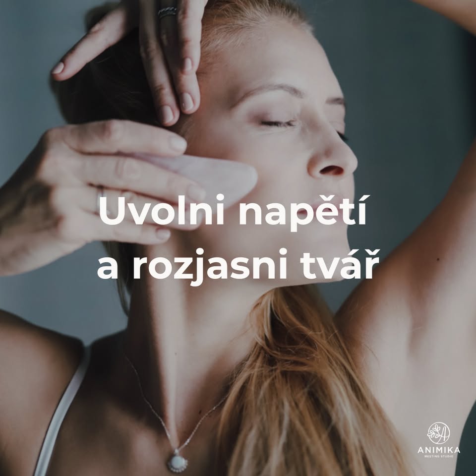 Den otevřených dveří