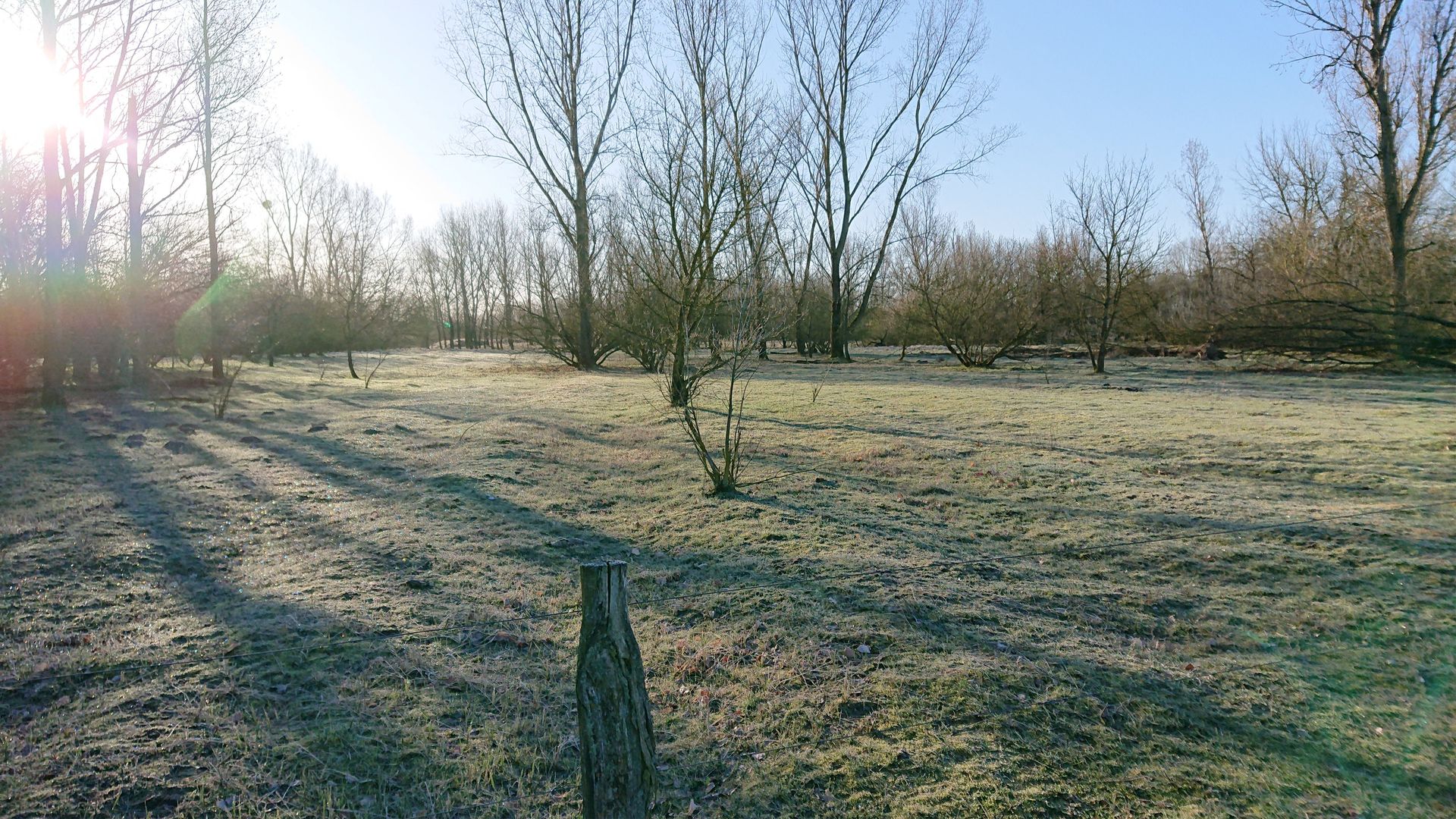 Via Dragon etc: 10 km hike to the X-mas market at Domäne Dahlem (2nd iteration)