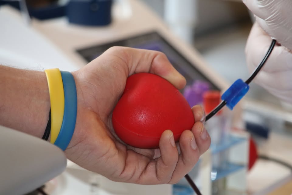 Modrá dává červenou: Odběr krve v Lužánkách