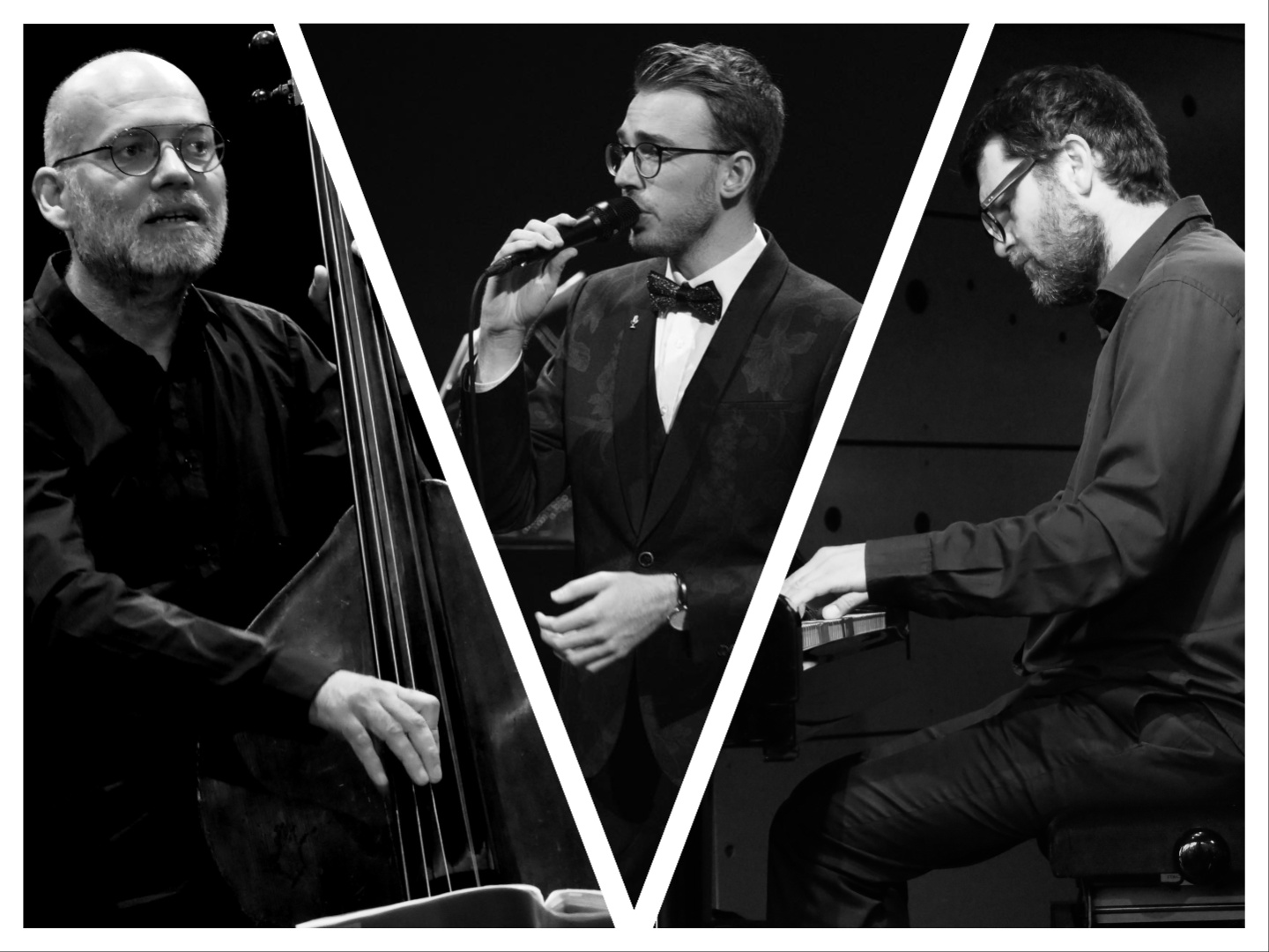 David Kleňha Trio