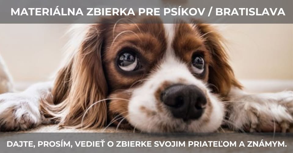 • Bratislava •  Materiálna zbierka pre psíkov / 14.-16. apríl 2025