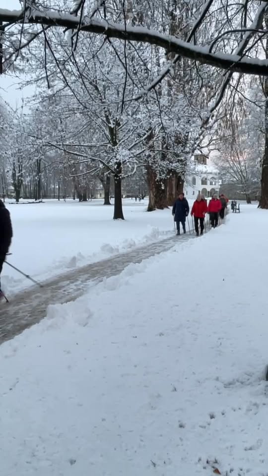Mini kurz nordic walking v Budatinskom parku