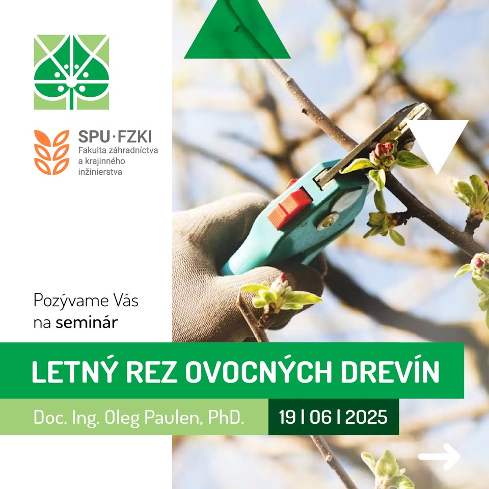 Letný rez ovocných drevín