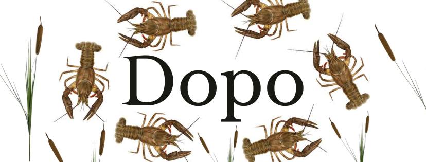 Morning meetings in the sandstone and crayfish