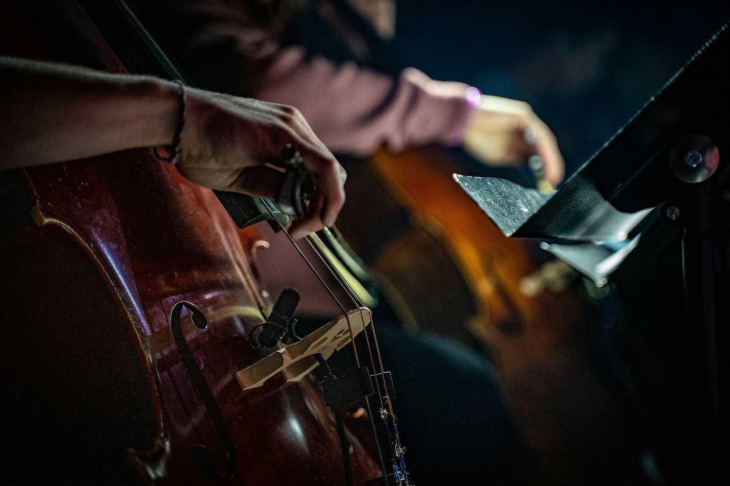 Hogwarts Magic Symphony
