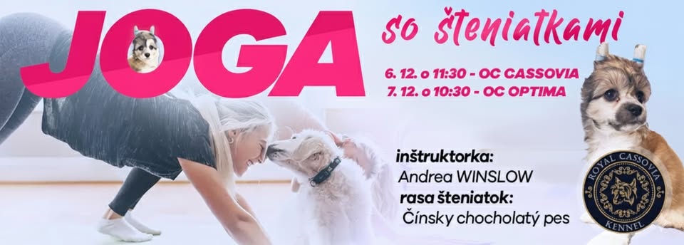 Jóga so šteniatkami