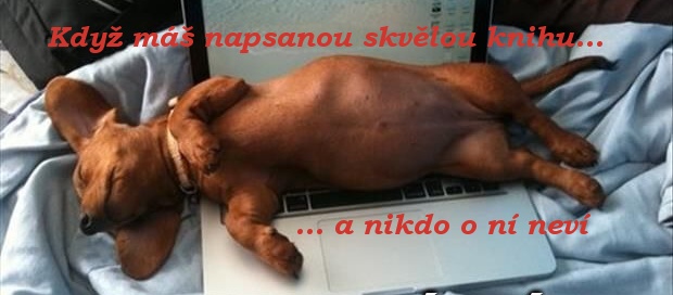 Knižní marketing aneb jak na to - přednáška