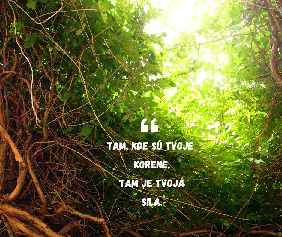 Rodinné konštelácie v Senci