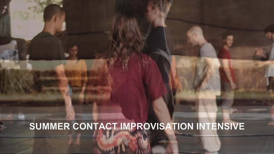 FLY LIKE A BIRD – LAND LIKE A CAT - 5 DAY INTENSIVE CONTACT WORKSHOP