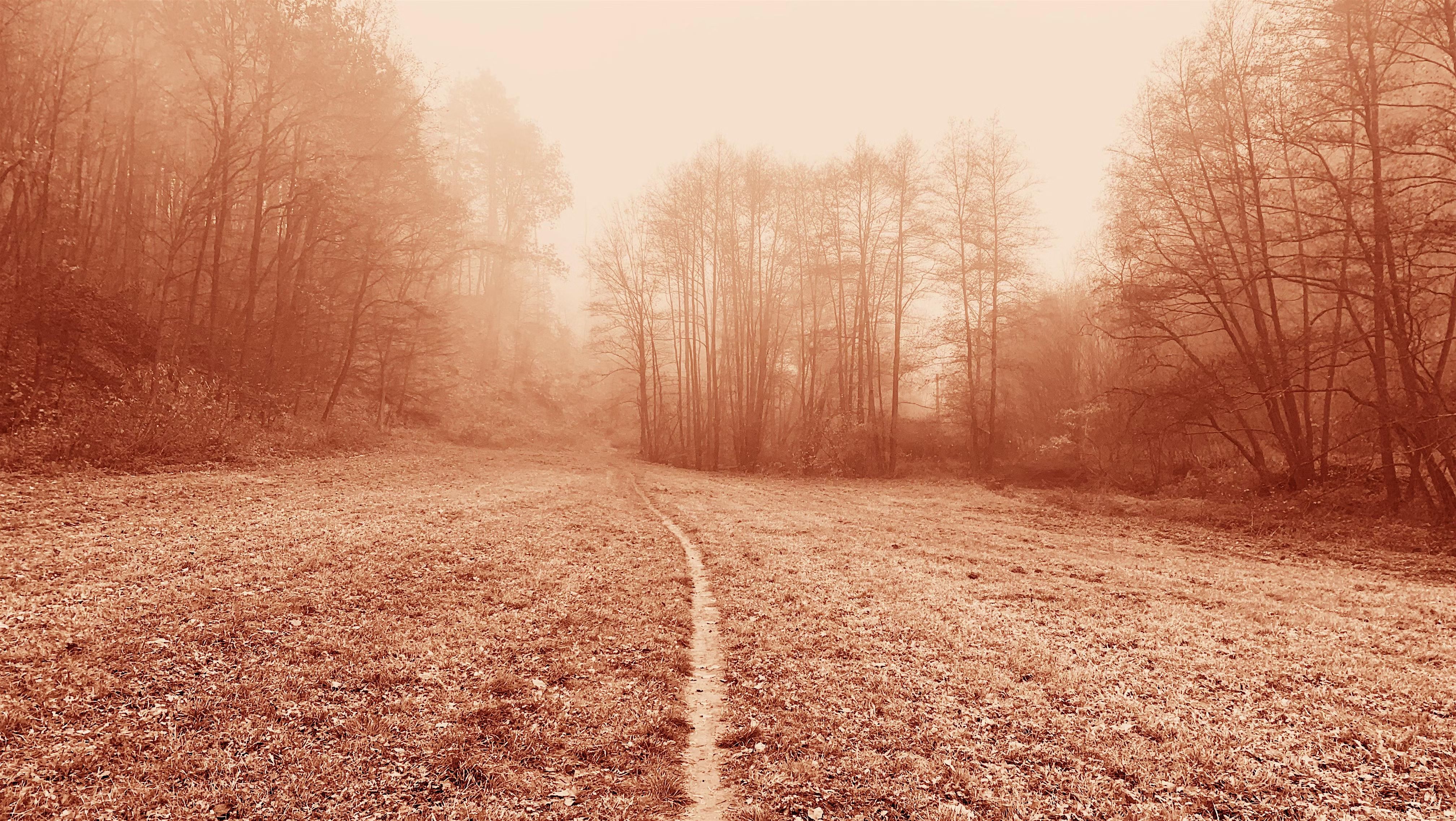 Ecstatic Truth IX symposium: Ways of Knowing
