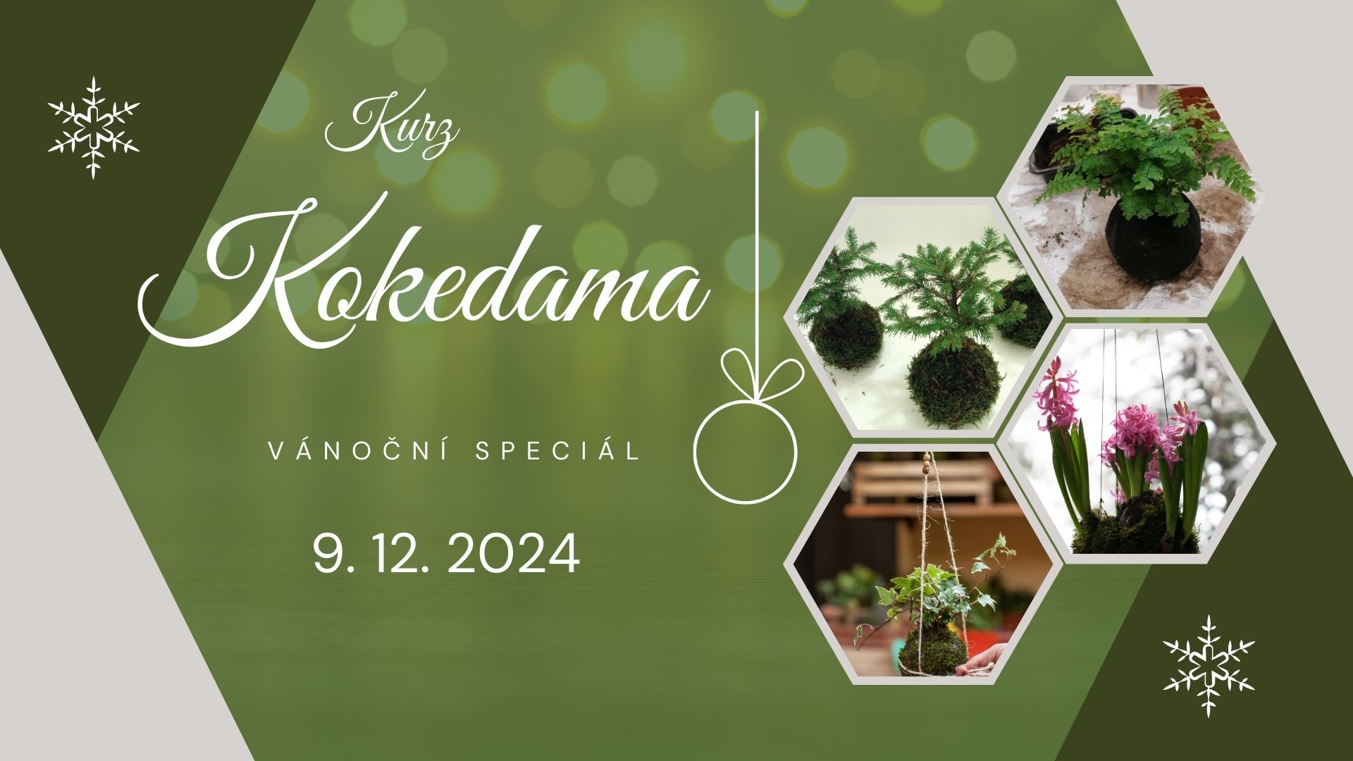 Kurz KOKEDAMA - vánoční speciál