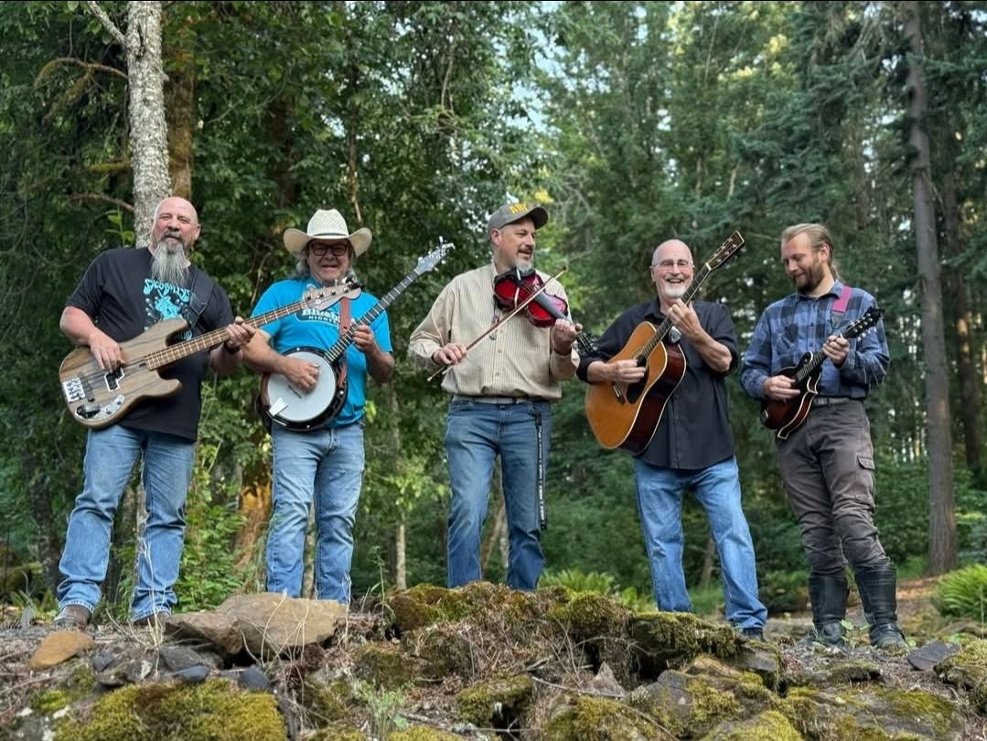 Syco Billys String Band
