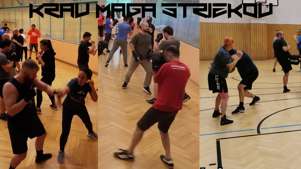 Dvouměsíční kurz Krav Maga na Střížkově