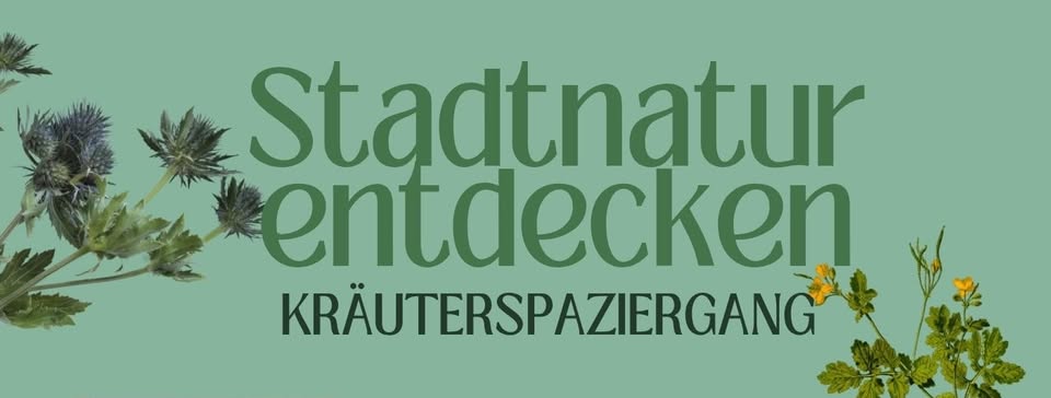 Stadtnatur entdecken - Kräuterspaziergang