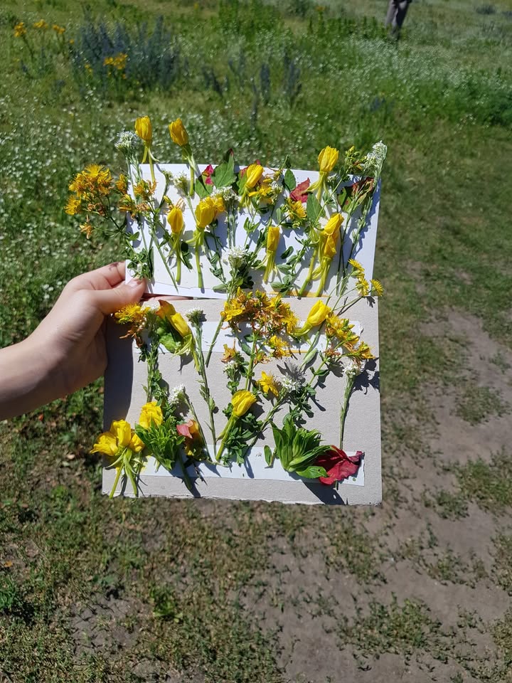 Ausflüge mit den naturbegleitern*