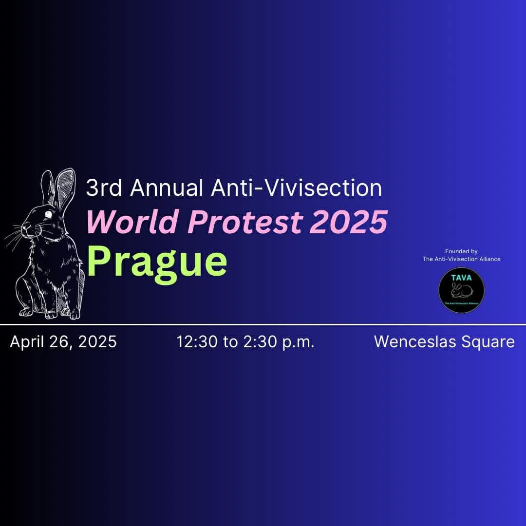 3rd Annual Anti-Vivisection World Protest