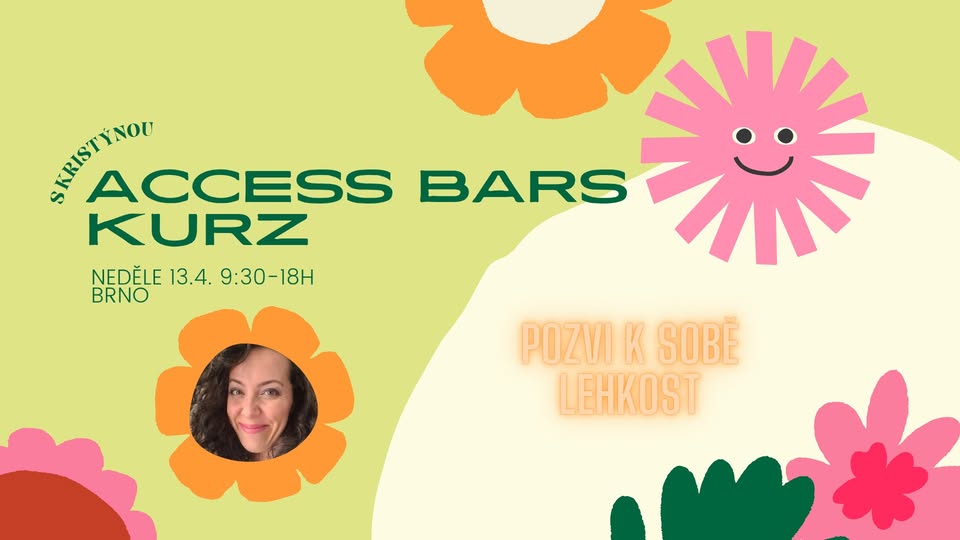 ACCESS BARS KURZ